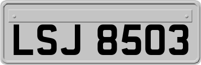 LSJ8503