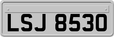 LSJ8530
