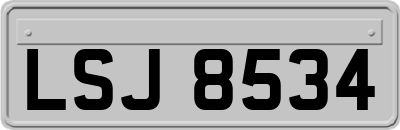 LSJ8534