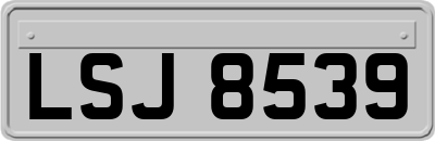 LSJ8539