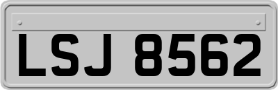 LSJ8562