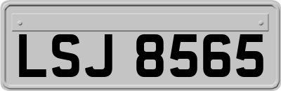 LSJ8565