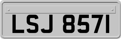 LSJ8571