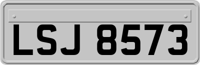 LSJ8573
