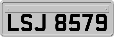LSJ8579