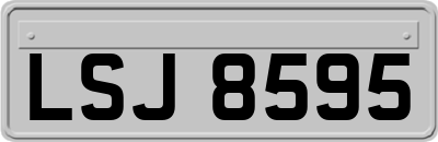 LSJ8595
