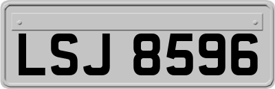 LSJ8596
