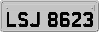 LSJ8623