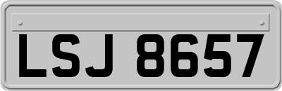 LSJ8657