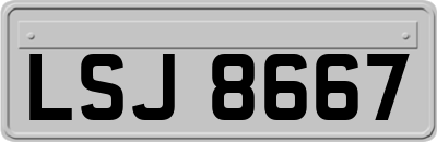 LSJ8667