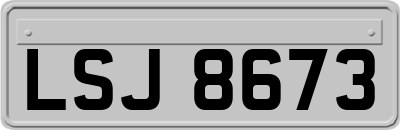 LSJ8673