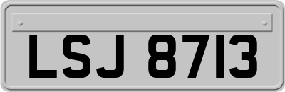 LSJ8713