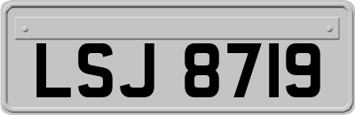 LSJ8719