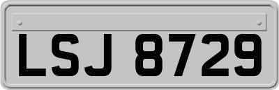 LSJ8729