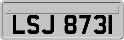 LSJ8731