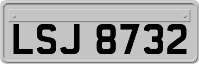 LSJ8732