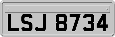 LSJ8734