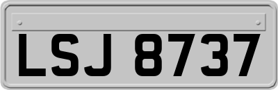 LSJ8737
