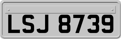 LSJ8739