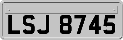 LSJ8745