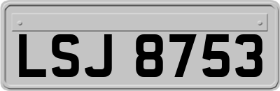 LSJ8753