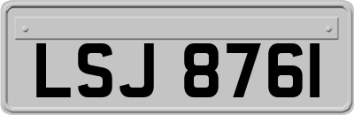 LSJ8761