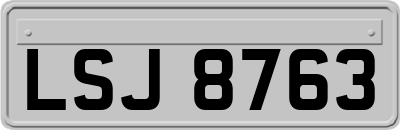 LSJ8763