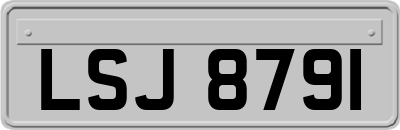 LSJ8791