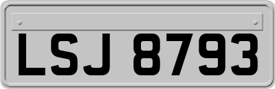 LSJ8793