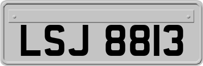 LSJ8813