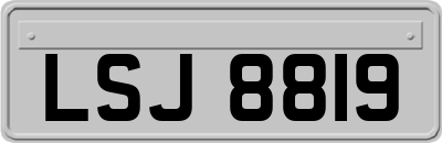 LSJ8819