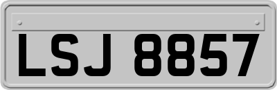 LSJ8857