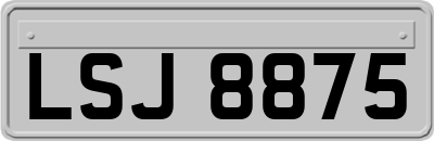 LSJ8875