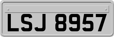 LSJ8957