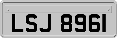 LSJ8961