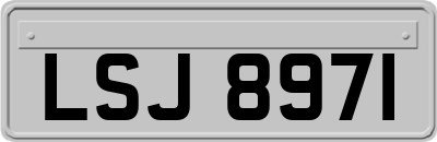 LSJ8971