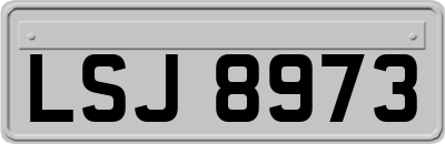 LSJ8973