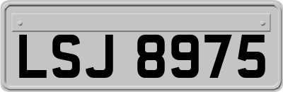 LSJ8975