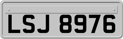 LSJ8976