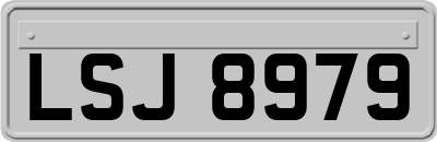 LSJ8979