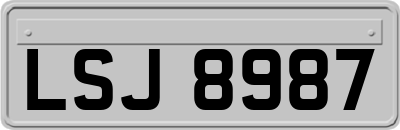 LSJ8987
