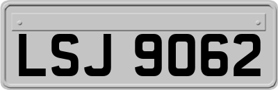 LSJ9062