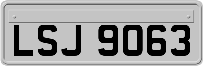 LSJ9063