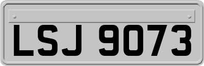 LSJ9073