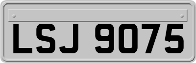 LSJ9075