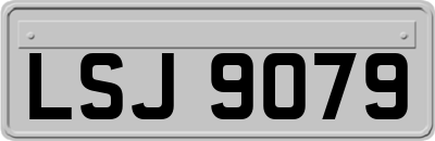LSJ9079