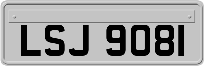 LSJ9081