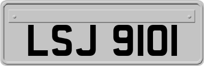LSJ9101