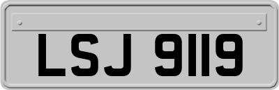 LSJ9119