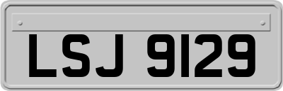 LSJ9129